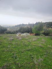 Οικόπεδο 5.600 τ.μ. για πώληση, Αχαΐα, Μεσσατίδα-thumb-6