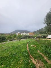 Οικόπεδο 5.600 τ.μ. για πώληση, Αχαΐα, Μεσσατίδα-thumb-8