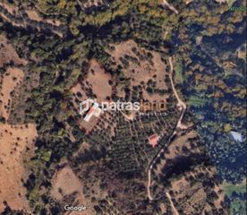 Οικόπεδο 5.600 τ.μ. για πώληση, Αχαΐα, Μεσσατίδα-thumb-12
