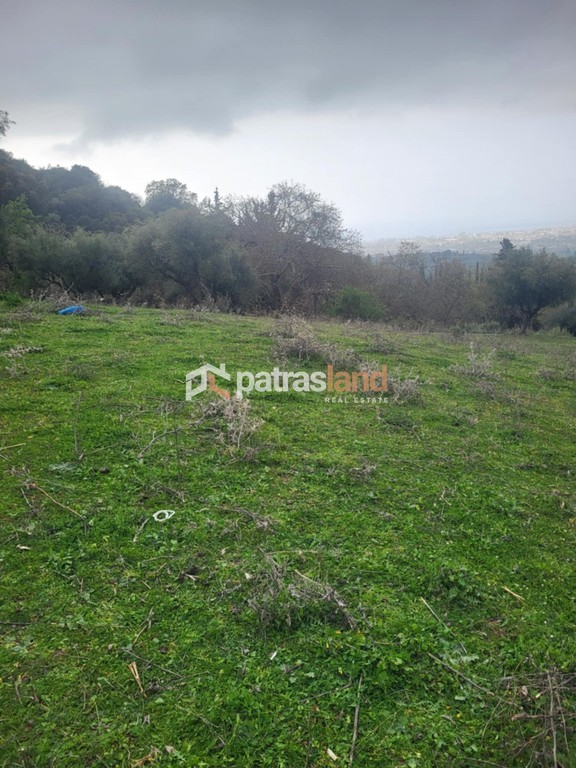 Οικόπεδο 5.600 τ.μ. προς πώληση, Κρήνη Μεσσάτιδας