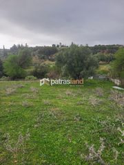 Οικόπεδο 5.600 τ.μ. για πώληση, Αχαΐα, Μεσσατίδα-thumb-9