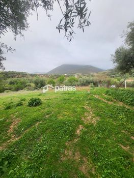 Land plot 5.600 sqm for sale