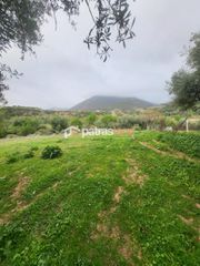 Οικόπεδο 5.600 τ.μ. για πώληση