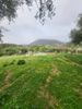 Land plot 5.600sqm for sale-Messatida » Krini