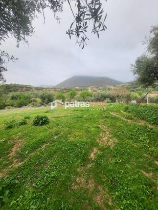 Οικόπεδο 5.600 τ.μ. για πώληση, Αχαΐα, Μεσσατίδα