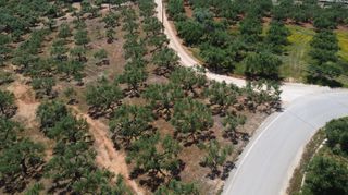 Οικόπεδο 6.430 τ.μ. για πώληση, Μεσσηνία, Γαργαλιάνοι-thumb-2