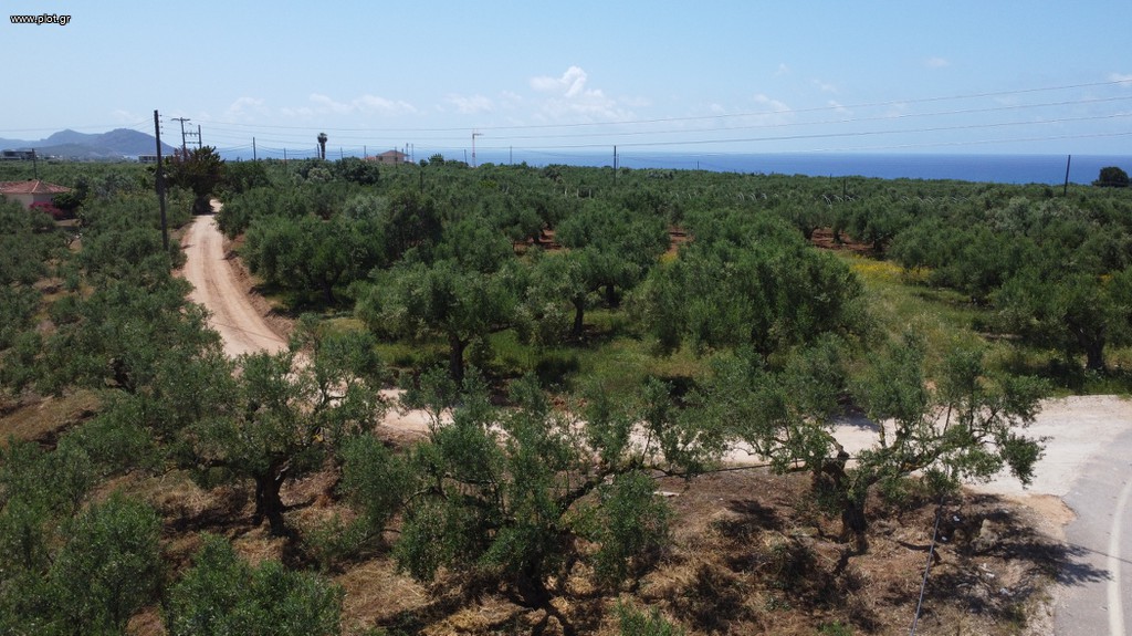 Οικόπεδο 6.430 τ.μ. για πώληση, Μεσσηνία, Γαργαλιάνοι