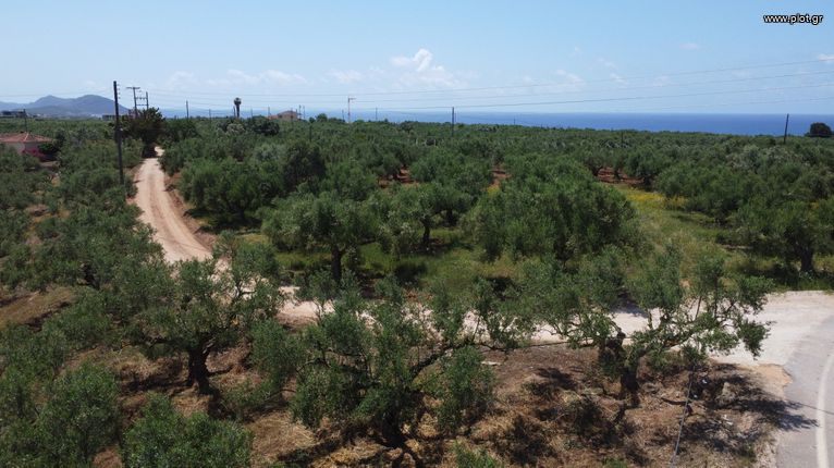 Οικόπεδο 6.430 τ.μ. για πώληση, Μεσσηνία, Γαργαλιάνοι