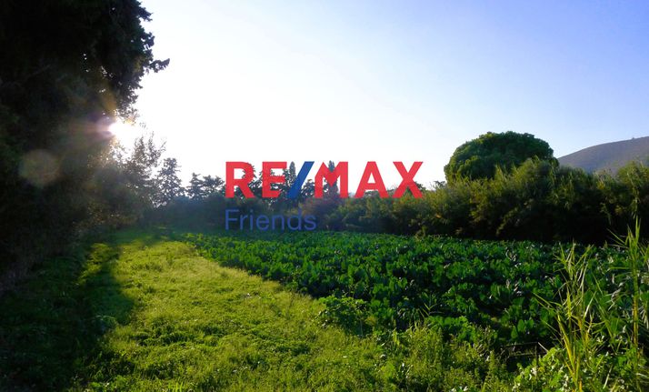 Parcel 2.005 sqm for sale, Athens - East, Marathonas