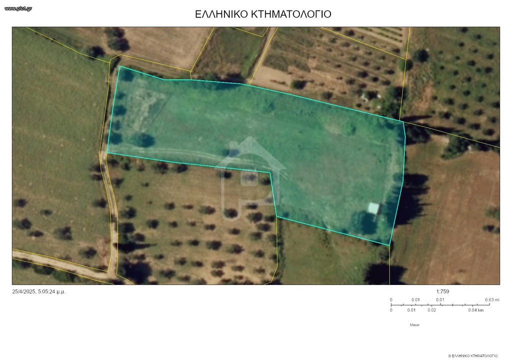 Αγροτεμάχια 12.000 τ.μ. για πώληση, Αχαΐα, Ωλένια