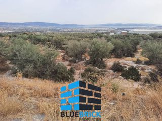 Οικόπεδο 34.000 τ.μ. για πώληση