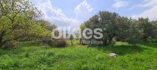 Αγροτεμάχια 2.859 τ.μ. για πώληση, Ν. Χίου, Χίος-thumb-6