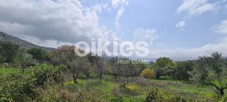 Αγροτεμάχια 2.859 τ.μ. για πώληση, Ν. Χίου, Χίος-thumb-13
