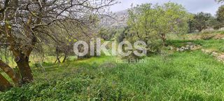 Αγροτεμάχια 2.859 τ.μ. για πώληση, Ν. Χίου, Χίος-thumb-17