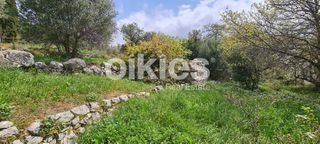 Αγροτεμάχια 2.859 τ.μ. για πώληση, Ν. Χίου, Χίος-thumb-8