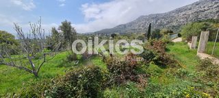Αγροτεμάχια 2.859 τ.μ. για πώληση, Ν. Χίου, Χίος-thumb-10
