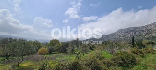 Αγροτεμάχια 2.859 τ.μ. για πώληση, Ν. Χίου, Χίος-thumb-14