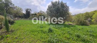 Αγροτεμάχια 2.859 τ.μ. για πώληση, Ν. Χίου, Χίος-thumb-19