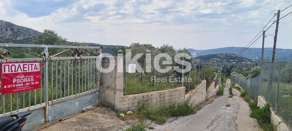 Αγροτεμάχια 2.859 τ.μ. πρός πώληση, Ν. Χίου, Χίος