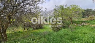 Αγροτεμάχια 2.859 τ.μ. για πώληση, Ν. Χίου, Χίος-thumb-18
