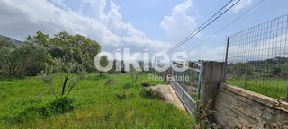 Αγροτεμάχια 2.859 τ.μ. για πώληση, Ν. Χίου, Χίος-thumb-3