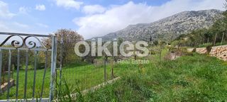 Αγροτεμάχια 2.859 τ.μ. για πώληση, Ν. Χίου, Χίος-thumb-2