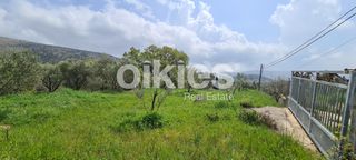 Αγροτεμάχια 2.859 τ.μ. για πώληση, Ν. Χίου, Χίος-thumb-4
