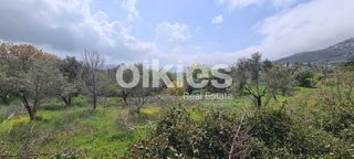 Αγροτεμάχια 2.859 τ.μ. για πώληση, Ν. Χίου, Χίος-thumb-16