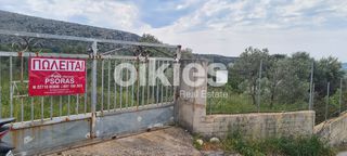 Αγροτεμάχια 2.859 τ.μ. για πώληση, Ν. Χίου, Χίος-thumb-21