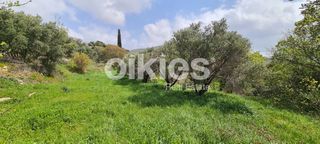 Αγροτεμάχια 2.859 τ.μ. για πώληση, Ν. Χίου, Χίος-thumb-5
