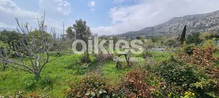Αγροτεμάχια 2.859 τ.μ. για πώληση, Ν. Χίου, Χίος-thumb-12