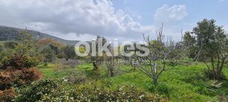 Αγροτεμάχια 2.859 τ.μ. για πώληση, Ν. Χίου, Χίος-thumb-11