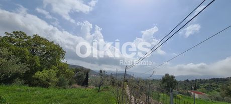 Αγροτεμάχια 2.859τ.μ. για πώληση-Χίος