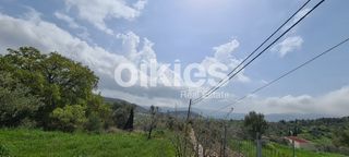 Αγροτεμάχια 2.859 τ.μ. για πώληση