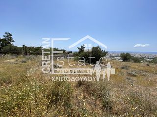 Αγροτεμάχια 6.500 τ.μ. για πώληση