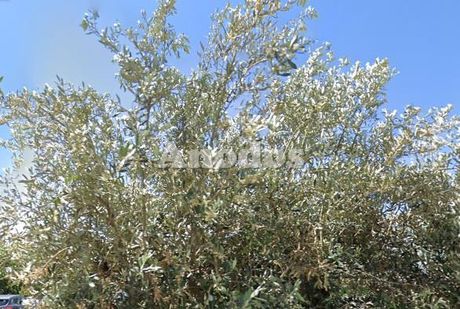 Land plot 870sqm for sale-Marousi » Soros