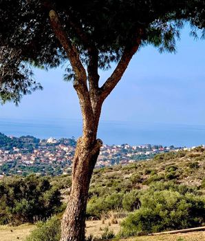 Land plot 264sqm for sale-Anavissos » Mavro Lithari