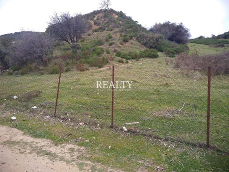 Οικόπεδο 32.000 τ.μ. για πώληση