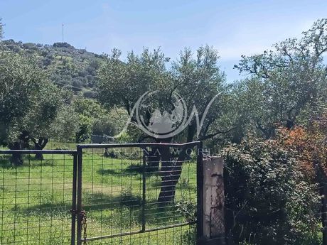 Οικόπεδο 2.000τ.μ. για πώληση-Σαμοθράκη » Ξηροπόταμος
