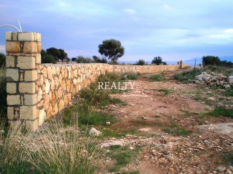 Οικόπεδο 50.000τ.μ. για πώληση-Σκυρίτιδα » Βάλτενα