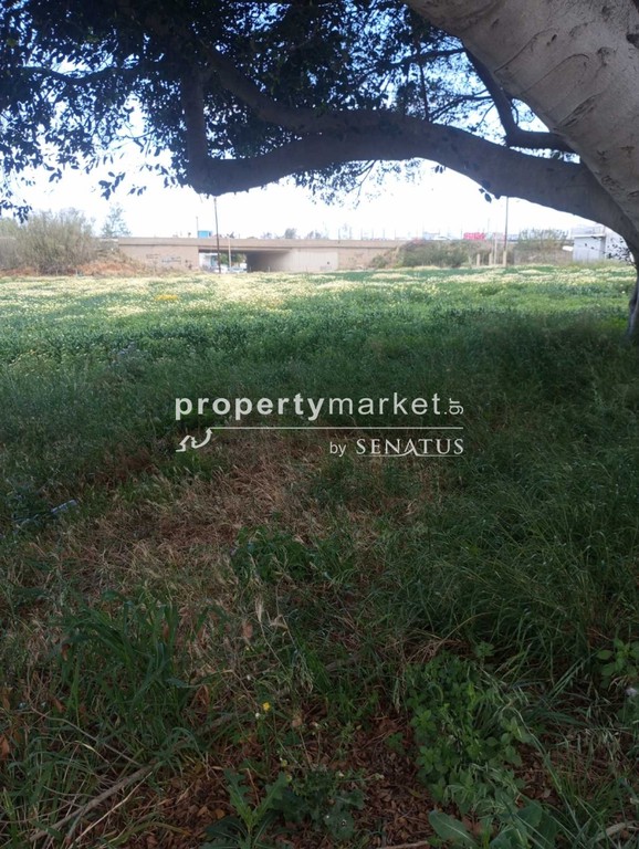 Land plot 6.000 sqm for rent, Misiria