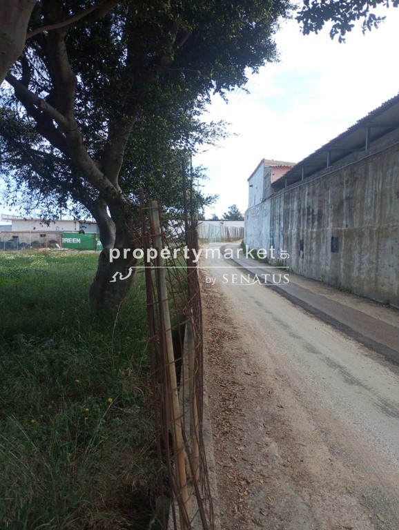Land plot 6.000 sqm for rent, Misiria