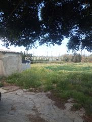 Οικόπεδο 6.000 τ.μ. για ενοικίαση