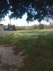 Βιοτεχνικός χώρος 6.000 τ.μ. για πώληση, Ν. Ρεθύμνου, Ρέθυμνο-thumb-2