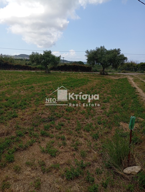 Οικόπεδο 3.755 τ.μ. προς πώληση, Άγιος Ηλίας Πύργου