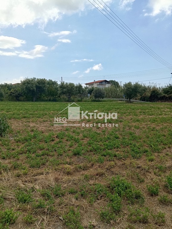 Οικόπεδο 3.755 τ.μ. προς πώληση, Άγιος Ηλίας Πύργου