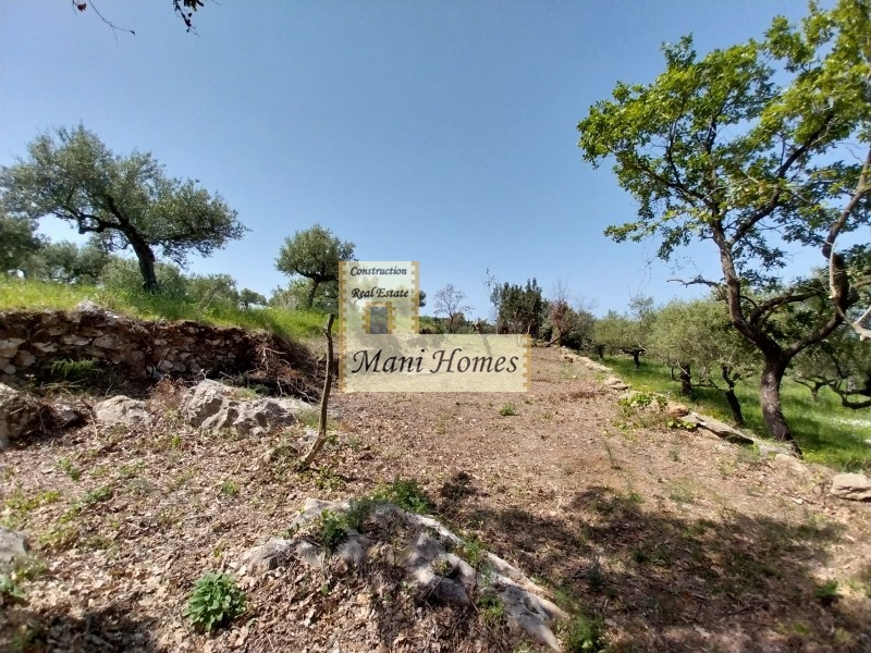 Οικόπεδο 4.154 τ.μ. προς πώληση, Πλάτσα