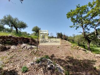 Οικόπεδο 4.154 τ.μ. για πώληση, Μεσσηνία, Λεύκτρος-thumb-1