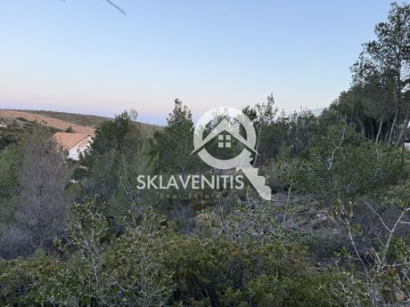 Οικόπεδο 505τ.μ. για πώληση-Πικέρμι » Διώνη