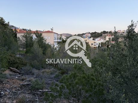Οικόπεδο 1.010τ.μ. για πώληση-Πικέρμι » Διώνη